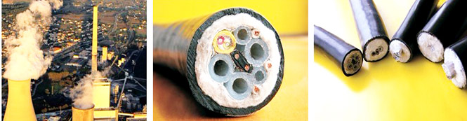 c8a50a23-b0ac-45b1-83f8-77dd1ef8ea66.jpg c8a50a23-b0ac-45b1-83f8-77dd1ef8ea66.jpg